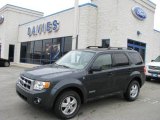 2008 Black Pearl Slate Metallic Ford Escape XLT V6 4WD #7286500