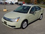 Natural Neutral Metallic Ford Focus in 2011