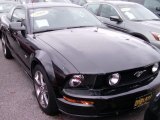 2008 Black Ford Mustang GT Deluxe Coupe #73113633