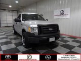 2010 Ingot Silver Metallic Ford F150 XL Regular Cab #73135664