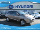 2013 Chai Bronze Hyundai Tucson Limited #73142490