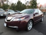 2010 Basque Red Pearl Acura TL 3.5 #73180696