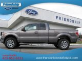 2013 Sterling Gray Metallic Ford F150 XLT SuperCab 4x4 #73180235