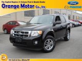 2009 Black Ford Escape XLT V6 4WD #73180340