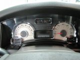 2008 Ford Expedition Limited 4x4 Gauges