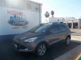 2013 Sterling Gray Metallic Ford Escape SEL 2.0L EcoBoost #73180195