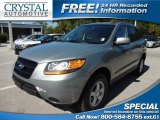 2008 Platinum Sage Hyundai Santa Fe GLS #73180607