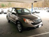 2009 Urban Titanium Metallic Honda CR-V LX 4WD #73233548