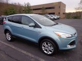 2013 Frosted Glass Metallic Ford Escape SEL 2.0L EcoBoost 4WD #73233331