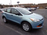 2013 Frosted Glass Metallic Ford Escape S #73233330