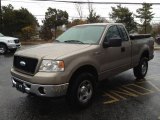 2006 Arizona Beige Metallic Ford F150 XLT Regular Cab 4x4 #73233856