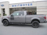 2013 Sterling Gray Metallic Ford F150 FX4 SuperCab 4x4 #73233599