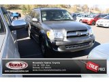 2005 Phantom Gray Pearl Toyota Sequoia SR5 #73288684