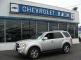 2011 Ingot Silver Metallic Ford Escape Limited 4WD #73288893