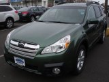 2013 Cypress Green Pearl Subaru Outback 2.5i Premium #73288783