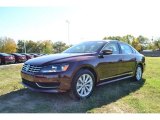 2013 Opera Red Metallic Volkswagen Passat 2.5L SEL #73289115