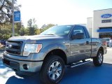 2013 Sterling Gray Metallic Ford F150 STX Regular Cab 4x4 #73347651