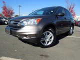 2010 Urban Titanium Metallic Honda CR-V EX #73347988