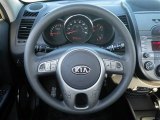 2010 Kia Soul + Steering Wheel