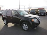 2010 Ford Escape XLT V6 4WD