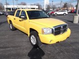 2006 Solar Yellow Dodge Dakota Laramie TRX4 Quad Cab 4x4 #73441017