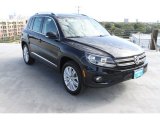 2013 Volkswagen Tiguan SE