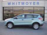 2013 Frosted Glass Metallic Ford Escape S #73440872