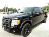 2009 Ford F150 FX4 SuperCrew 4x4 Data, Info and Specs