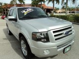 2010 Ingot Silver Metallic Ford Expedition Limited #73484670