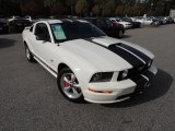 2008 Performance White Ford Mustang GT Premium Coupe #73484861