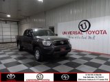 2012 Magnetic Gray Mica Toyota Tacoma Access Cab #73484603