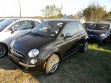 2013 Nero (Black) Fiat 500 Lounge #73538968