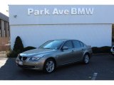 2010 Platinum Bronze Metallic BMW 5 Series 528i xDrive Sedan #73538524