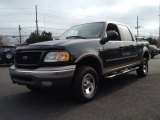 2002 Dark Highland Green Metallic Ford F150 XLT SuperCrew 4x4 #73713723