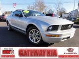 2005 Satin Silver Metallic Ford Mustang V6 Deluxe Coupe #73713707