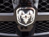 2013 Ram 1500 Express Regular Cab Marks and Logos