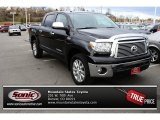 2010 Toyota Tundra Limited CrewMax 4x4