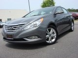 2011 Harbor Gray Metallic Hyundai Sonata Limited #73750649