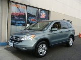 2010 Opal Sage Metallic Honda CR-V EX-L AWD #73751126