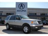 2004 Silver Birch Metallic Ford Expedition XLT #73750482