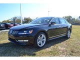 2013 Volkswagen Passat TDI SE