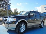 2012 Black Ford Expedition XLT #73808474