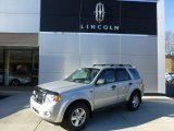 2009 Brilliant Silver Metallic Ford Escape XLT #73866794