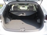 2013 Hyundai Santa Fe Sport 2.0T Trunk