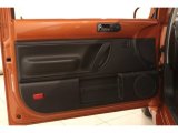2010 Volkswagen New Beetle Red Rock Edition Coupe Door Panel