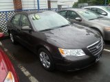 2010 Hyundai Sonata GLS