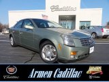 2004 Silver Green Cadillac CTS Sedan #73934365