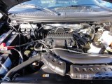 2008 Lincoln Mark LT Engines