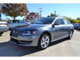 2013 Platinum Gray Metallic Volkswagen Passat 2.5L SE #73934771