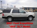 2007 Pueblo Gold Metallic Ford Expedition XLT 4x4 #73934983